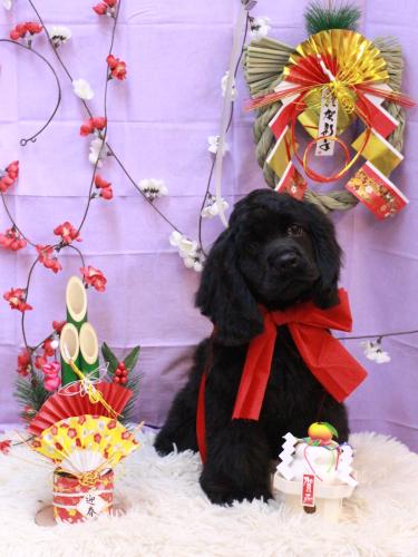 20230106天ちゃん